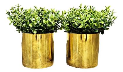 Imagem de 3X Decoração Sala Rack Kit 2 Vasinhos Com Planta Montado Cor