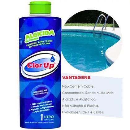 Imagem de Algicida de Choque 01 litro CLOR UP