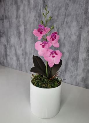 Imagem de Arranjo De Mini Orquídea Rosa Vaso Branco Redondo