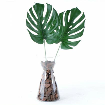 Imagem de Arranjo Solitário de Costela de Adão