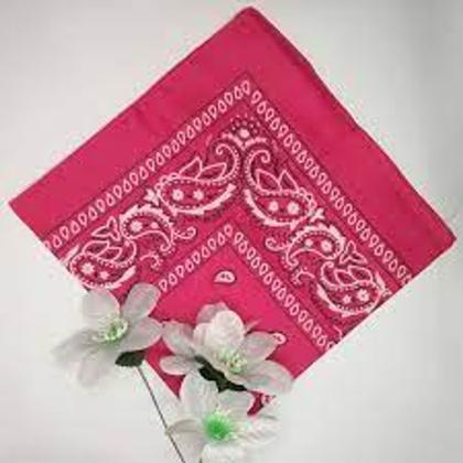 Imagem de Bandana Faixa Lenço Cabelo Estilo Rock Blogueira Skate Tumblr Moda Tendência Famosos Cores