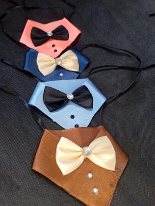 Imagem de Bandana Pet Cetim P Cães Banho E Tosa Modelo Gravata