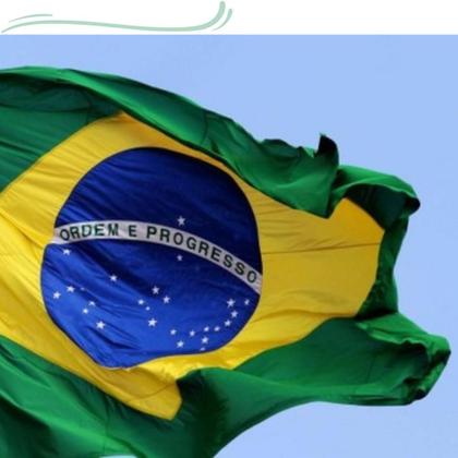 Imagem de Bandeira Do Brasil 1,50X0,90m Tamanho Oficial Garantia