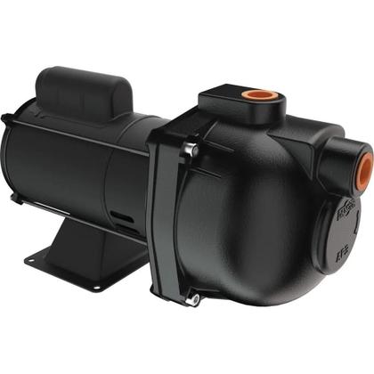 Imagem de Bomba D'água 1 CV Auto Aspirante AP-3C 10206188 Monofásico DANCOR