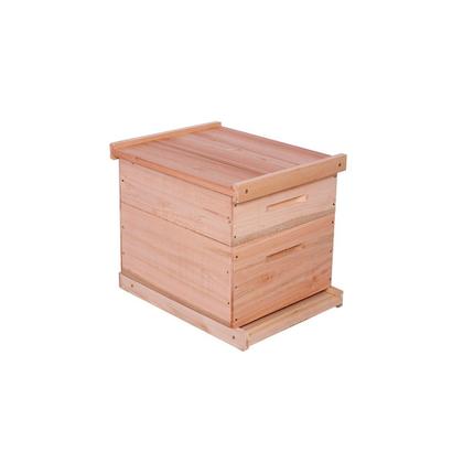 Imagem de Caixa de Abelha Padrão Langstroth Eucalipto