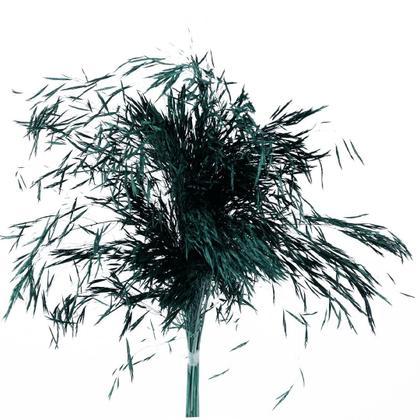 Imagem de Capim Chorão Verde Desidratado