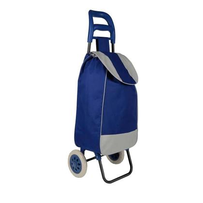 Imagem de Carrinho De Compras Azul Leve Tudo Feira Mercado Praia