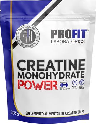 Imagem de Creatina Monohidratada 300g Refil - Profit Labs