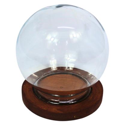 Imagem de Cúpula de Vidro Bela e a Fera c/Base Madeira