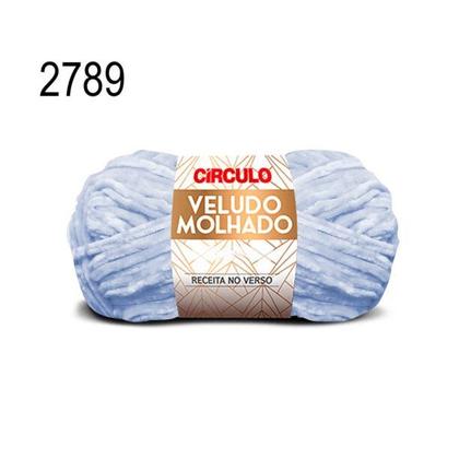 Imagem de Fio Veludo Molhado Circulo 100g
