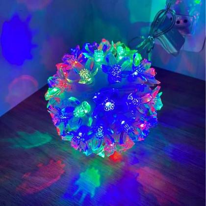 Imagem de Globo com 50 Lâmpadas Pisca Pisca - LED Flor