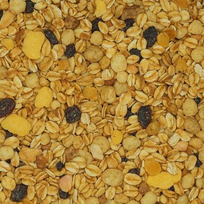 Imagem de Granola Premium com Frutas Selecionadas Premium Alta Qualidade 100g