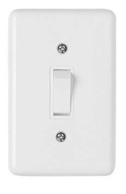 Imagem de Interruptor Paralelo  6A 250V Espelho 4x2 Branco Ilumi 2022