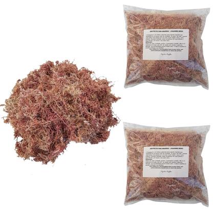Imagem de Kit 2 Musgos Sphagnum 5 Litros Substrato P/ Plantas Orquídea