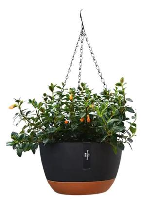 Imagem de Kit 4 Vasos Supenso Corrente De Pendurar Samambaias C P Pret