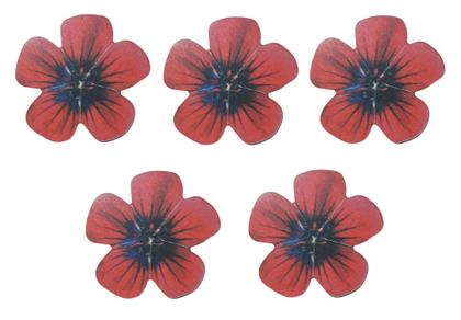 Imagem de KIT 5 Lixas de Unhas em E.V.A. Flor