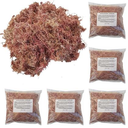 Imagem de Kit 5 Musgos Sphagnum 5 Litros Substrato Substrato Premium Para Plantas Orquídea Jardinagem Interna Externa
