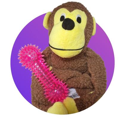 Imagem de Kit Brinquedo para Pet Pelucia Macaco + Halteres com Apito