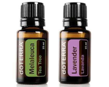 Imagem de Kit óleos essencias doTERRA 1 óleo Lavanda 15ML + 1 óleo essencial Melaleuca 15ML