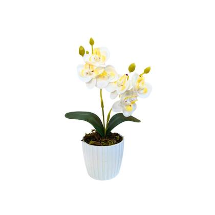 Imagem de Mini Orquídeas Arranjo Vaso Flor Artificial Sustentável Não Precisa Cuidados Decoração Sofisticada