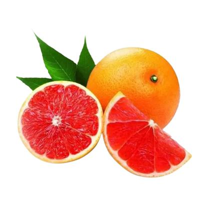 Imagem de Muda Frutífera de Laranja Sanguínea Mombuca Enxertada