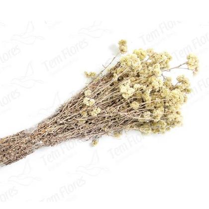 Imagem de Musgo Branco Pc 2 Lts Para Orquideas e Decoração Substrato