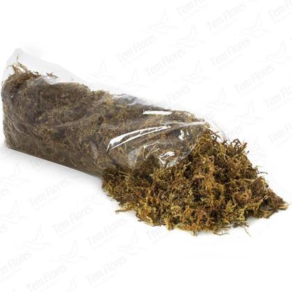 Imagem de Musgo para Orquideas e Decoração Substrato Kokedama 400 gms