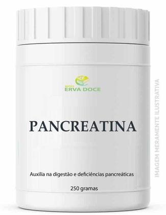 Imagem de Pancreatina 250 Gramas