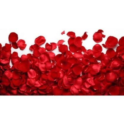 Imagem de Petalas  Com Aroma Sedução Dia Dos Namorados