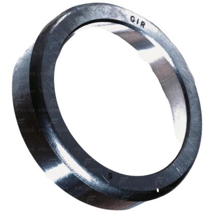 Imagem de Pista Externa do Rolamento Superior Trator Agrale 4100