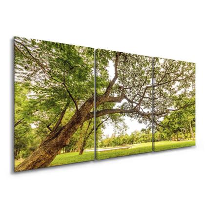 Imagem de Quadro Para Sala Grande Arvore Paisagem Quarto Natureza kit