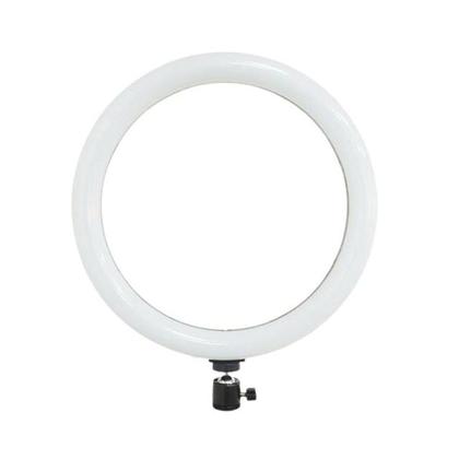 Imagem de Ring Light Led 26cm Smd Iluminador Portátil 10' Polegadas Sem Tripé Bivolt