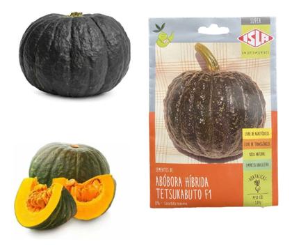 Imagem de Sementes de Abobora Hibrida Tetsukabuto Env c/ 3gr de Sementes
