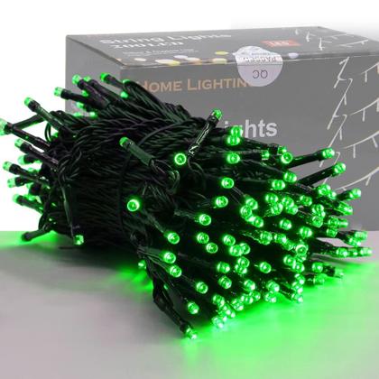 Imagem de String Lights HOME LIGHTING 200 LED 20m verde 8 modos 110V
