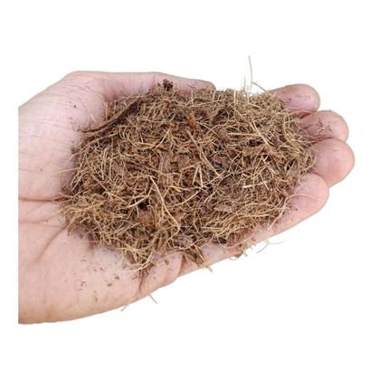 Imagem de Substrato Fibra de Coco 10 Litros Fibras Média Mista - para plantio germinação mudas em vasos floreiras canteiros pronto para uso grow cultivo