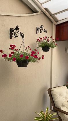 Imagem de Suporte Parede Para Pendurar Plantas E Vasos