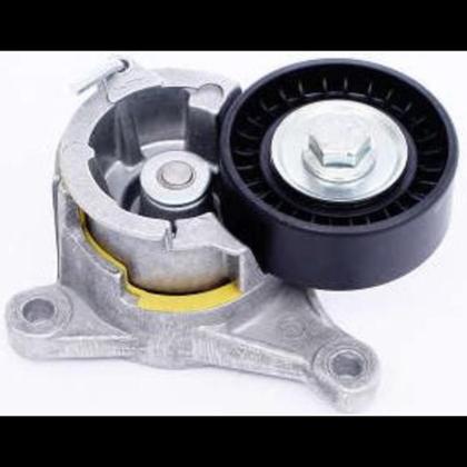 Imagem de Tensionador Citroen Xsara Picasso 2000 a 2012 Dayco APV2264