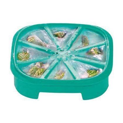 Imagem de Tupperware forma de gelo triangular verde