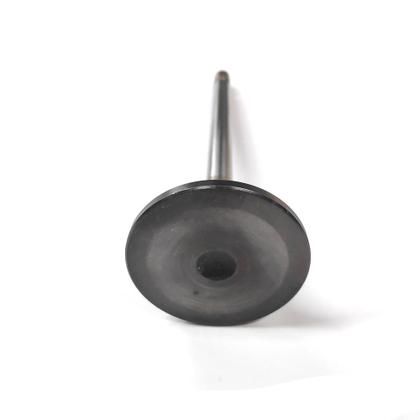 Imagem de Valvula admissao mbb actros/atron/ euro 5 60 graus eaton nac