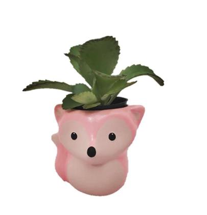 Imagem de Vasinho Vaso Suculenta Raposa Rosa