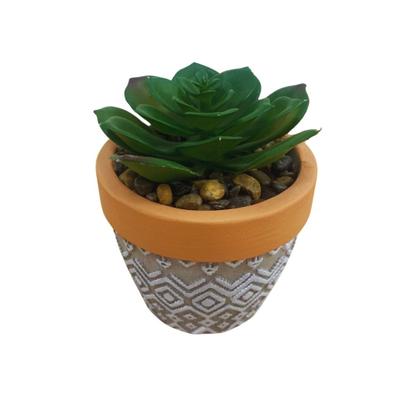 Imagem de Vaso decorativo de cimento com planta