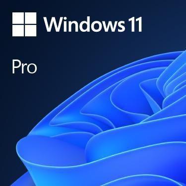 Imagem de Windows 11 Professional 32 / 64 Bits