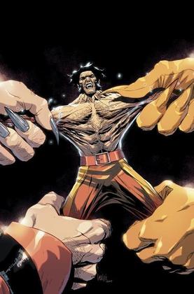 Imagem de Wolverine - Vol. 28 Sortido